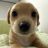 cutecumber.pages.dev favicon